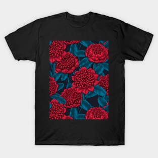 Red waratah flowers T-Shirt